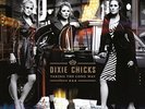 Taking the Long Way [LP] by Dixie Chicks (Vinyl, Apr-2016, 2 Discs, Columbia...