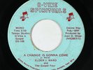 Funk Gospel 45 - Elder J. Ward - Change Is Gonna Come - D-Vine - mp3
