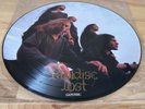 PARADISE LOST GOTHIC FIRST PRESS PICTURE DISC 1991 EXCELLENT CONDITION...