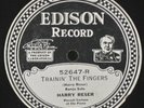 Edison Electric Diamond Disc 52647 Harry Reser Trainin' The Fingers & Jade