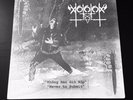 Vothana-Never To Submit/Không Bao Gi? N?p 2xLP (2020 Repress)