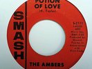 AMBERS - POTION OF LOVE  + ANOTHER LOVE U.S.A. SMASH LABEL  EXC +  £200 + P&P