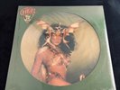 ????SEALED CHER Take Me Home Picture Disc 1979 NBPIX 7133 Vintage Vinyl LP Record