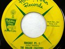 ROLLER COASTERS 45 Rimshot Pt.1 / pt. 2 HOLIDAY INN Texas r&b honkin sax c2961