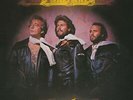 Bee Gees - Children Of The World Vinyl LP New 2020