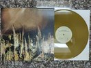 WHITNEY Forever Turned Around VMP Only 500 Made GOLD Color 12