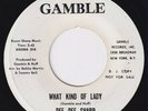 DEE DEE SHARP What Kind Of Lady RARE ORIG US northern soul 45 stomper  LISTEN