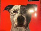 Hanni El khatib - Flight - VMP Exclusive Red GITD Vinyl - 28/300 - Sealed
