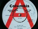 The Animals 7