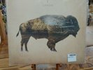 Heartless Bastards Arrow 180g Vinyl