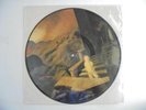 OINGO BOINGO Dark At The End Of The Tunnel MCA L33-18137 PROMO Picture Disc LP