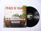 TERRANOVA   PEACE IS TOUGH   VG+/VG   2003 DBL ELECTRO VINYL LP   PLAY SOLID