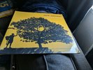 Jack Johnson - In Between Dreams [New Vinyl LP] (SEE DESCRIPTION)