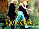 DIXIE CHICKS / WIDE OPEN SPACES (New Vinyl)