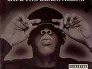 The Black Album [PA] by Jay-Z (Vinyl, Nov-2003, 2 Discs, Def Jam (USA))