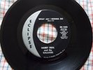 HARRY DEAL & THE GALAXIES What Am I Gonna Do / I Want To Know About Tomorrow