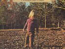 The Allman Brothers Band Brothers And Sisters NEAR MINT Polydor Vinyl LP