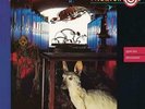 MIDNIGHT OIL: SPECIES DECEASES (180GM 12IN ) (REISSUE) +LP vinyl+