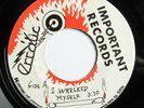70's / 80's ROCK / PUNK / NEW WAVE -- ERRATIC -- I WRECKED MYSELF -- Important