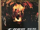 Iron Maiden From Here To Eternity 12 Inch Vinyl Poster Ed Vgc