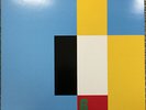 The Reels ?– 6 Great Gift Ideas Coloured Vinyl LP