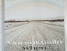 VINCENT GALLO When LP Warp UK book sleeve vinyl UNPLAYED but ding on sleeve
