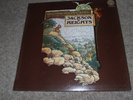 JACKSON HEIGHTS = RAGAMUFFINS FOOL 1972 FOLK / ART ROCK VERTIGO LP + INNER EX