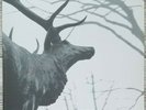 Agalloch – The Mantle 2x LP Clear (Grau)- Alcest- Wolves in the Throne Room- Fen