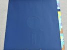 New Order: Blue Monday c/w The Beach Factory FAC 73 12