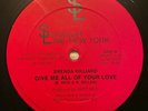 BRENDA HILLIARD - GIVE ME ALL YOUR LOVE - Private Press NY Boogie-Soul EX