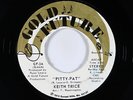 70s Soul Funk 45 - Keith Trice - Pitty-Pat - Gold Future - VG++ mp3