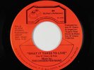 Modern Soul 45 - Chosen Few Band - What It Takes To Live - BR - VG++ mp3