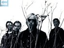 Tom Petty And The Heartbreakers ?– Echo (2017) Remastered NEW vinyl sealed
