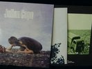 Julian Cope Fried + inner/poster ORIGINAL LP Gold Promo Stamped.1984   FREE POST