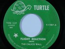 Psych 45 CALICO WALL Flight Reaction TURTLE HEAR