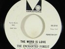 Enchanted Forest 