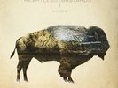 HEARTLESS BASTA-ARROW (US IMPORT) VINYL LP NEW