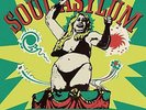 SOUL ASYLUM-WHILE YOU WERE OUT (US IMPORT) VINYL LP NEW