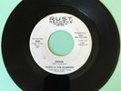 Randy & The Rainbows Denise Promo 45-Rust