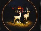 The Menzingers – Hello Exile – Limited Edition, Peach, Colored Vinyl, SMALL BUMP
