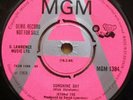 Jethro Toe sunshine day (DEMO RECORD)