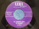 Jeff Reynolds/Cara Stewart 45 Leba 333 E+ Cond. Astronaut Polka/Where Is The Ros