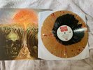 The Moody Blues- in search of lost chord Rare Color  Splatter Vinyl.