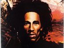 BOB MARLEY & WAILERS: Natty Dread US Island Reggae Roots LP NM- Vinyl