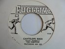 THE FUGITIVES  Cantelope Rock + The Lecture FUGITIVE  Rocksteady Reggae 7