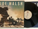 Joe Walsh - You Bought It You Name It - 1983 1st Press (NM) Ultrasonic Clean