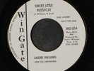 ANDRE WILLIAMS: Loose Juice / Sweet Little Pussycat 45 (dj) Soul