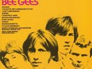 BEE GEES - Best Of Bee Gees - Vinyl (LP + MP3 download code)
