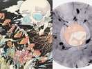 The Shins ‎– Heartworms Exclusive Limited Edition Clear Black Marble Vinyl LP