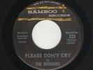 '62 W Coast R&B/DooWop WONDERS Please Don't Cry/With These Hands BAMBOO VG+ HEAR